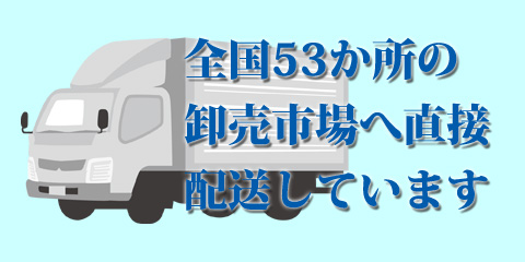 全国53か所の卸売業者へ直接配送しています